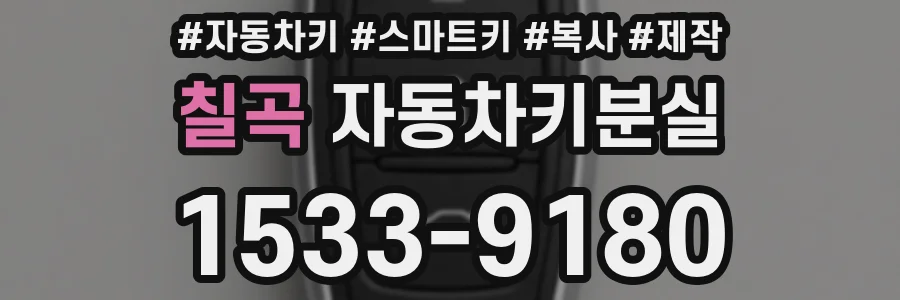 칠곡 자동차키분실