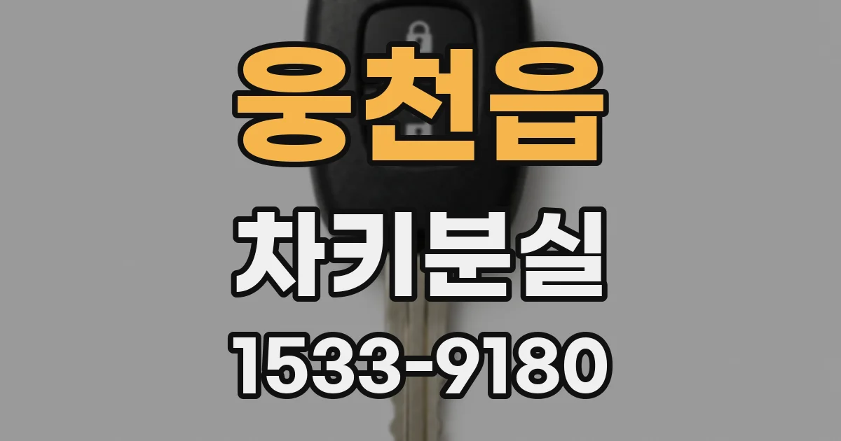 웅천읍 차키분실