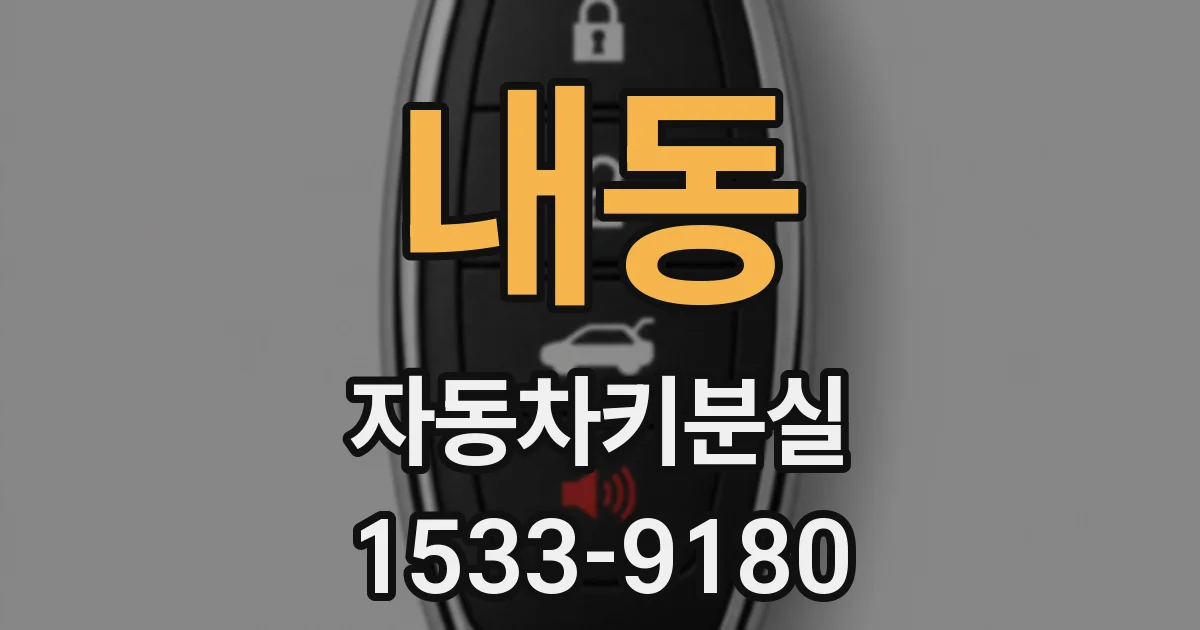 내동 자동차키분실