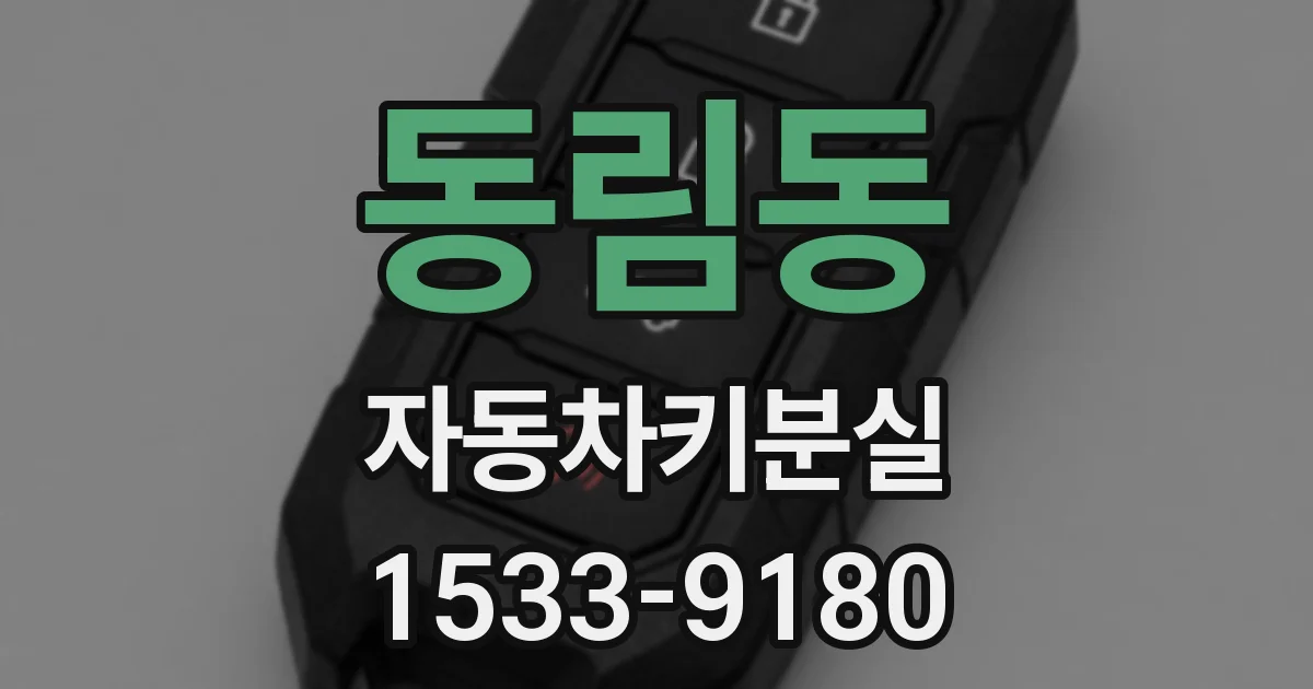 동림동 자동차키분실