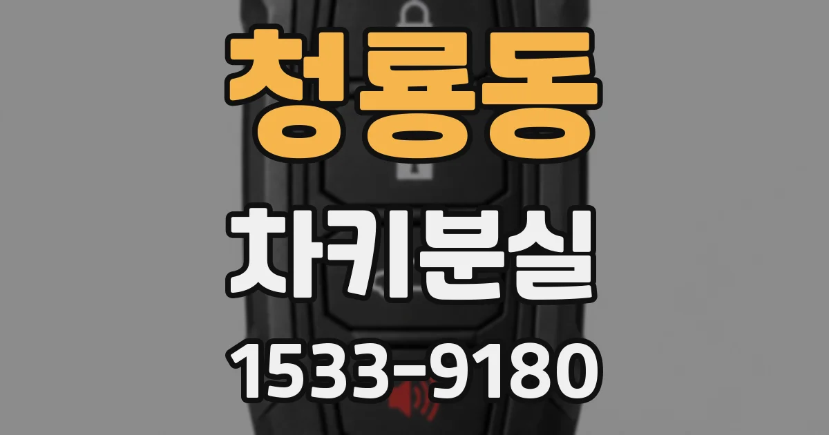 청룡동 차키분실