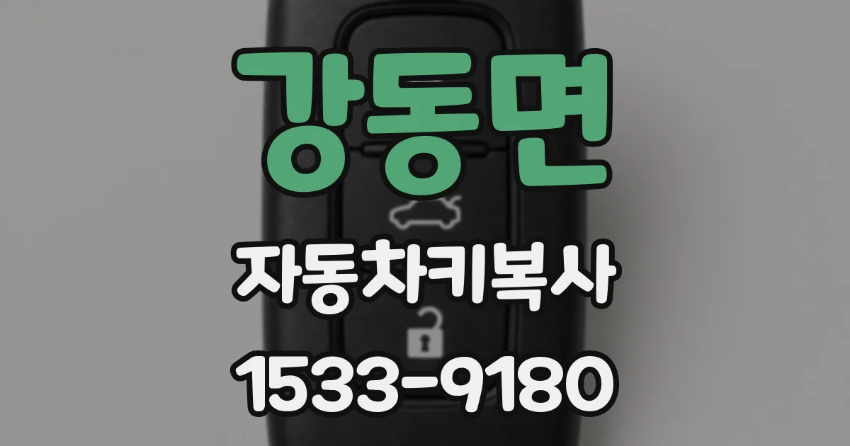 강동면 자동차키복사