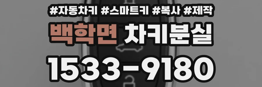 백학면 차키분실
