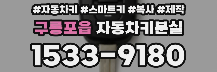 구룡포읍 자동차키분실
