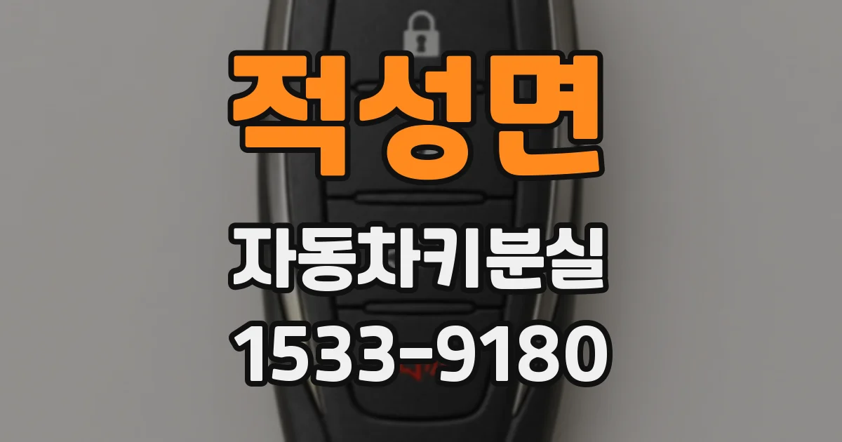 적성면 자동차키분실