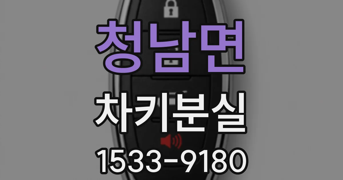 청남면 차키분실