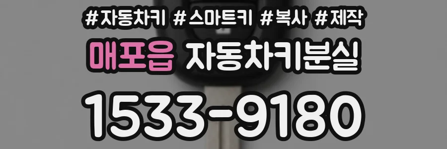 매포읍 자동차키분실