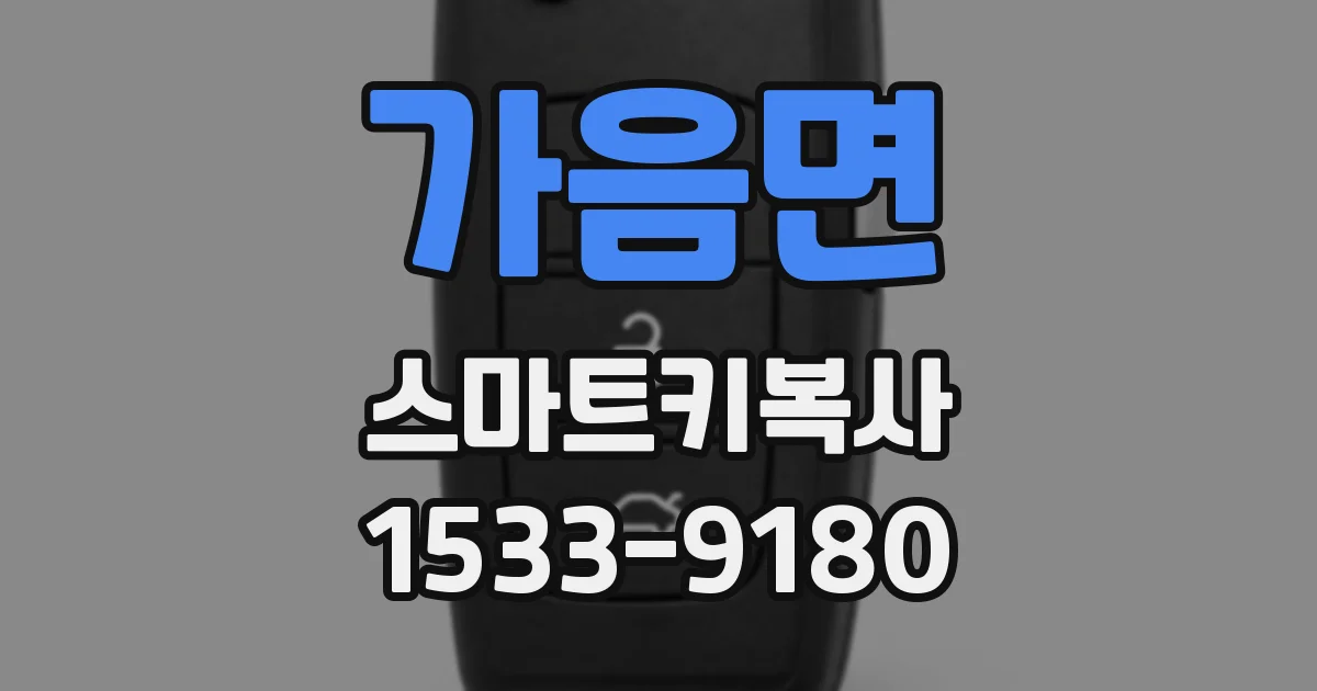 가음면 스마트키복사
