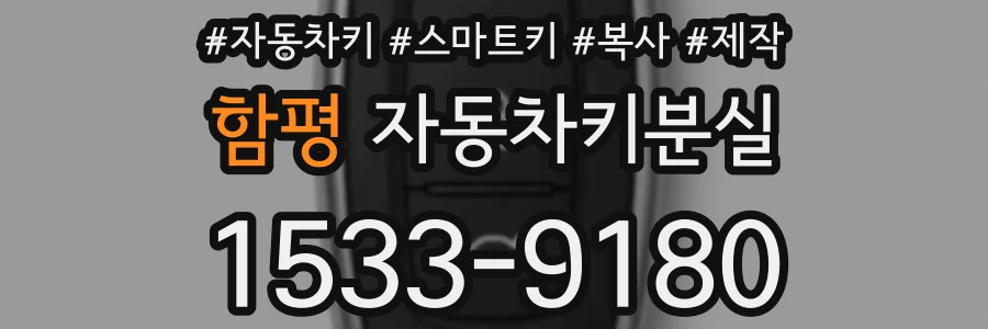 함평 자동차키분실