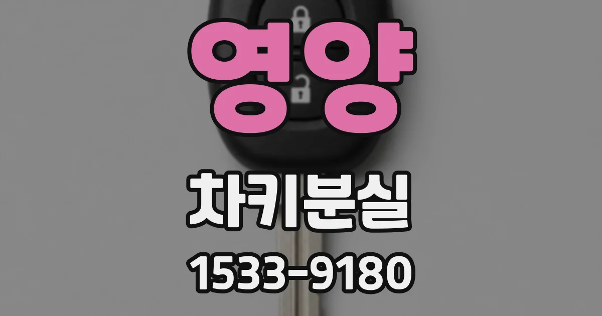 영양 차키분실