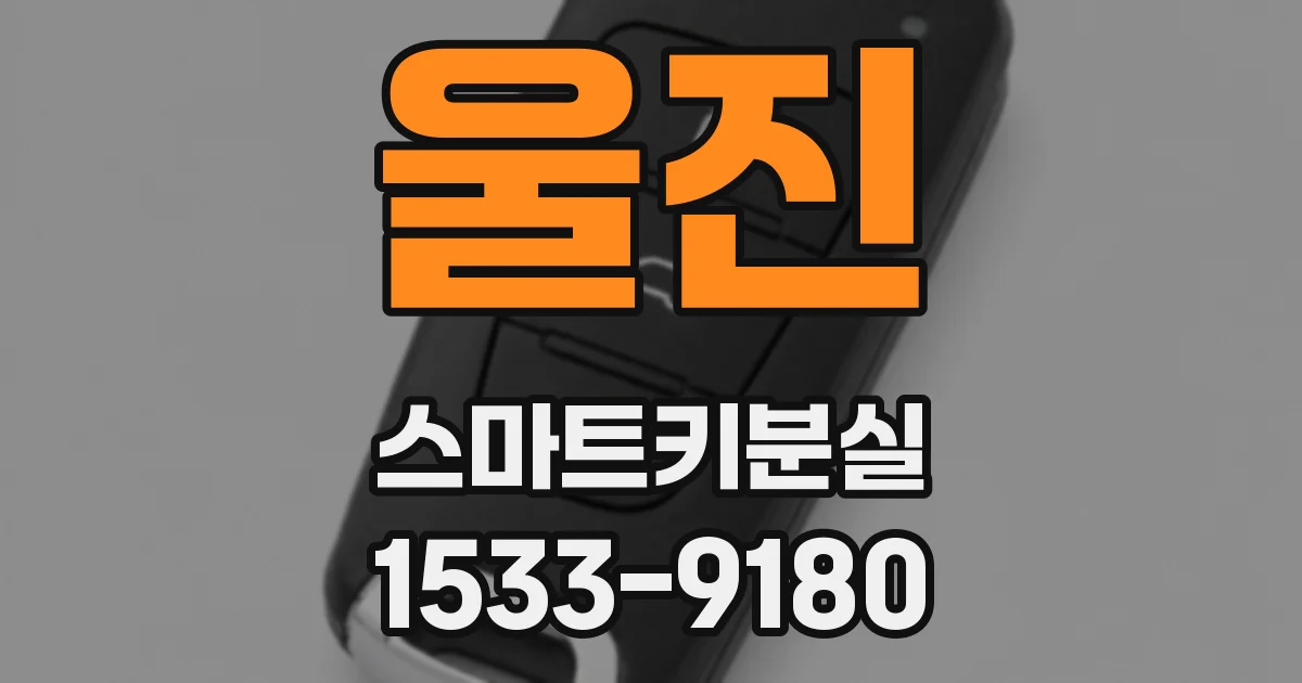 울진 스마트키분실