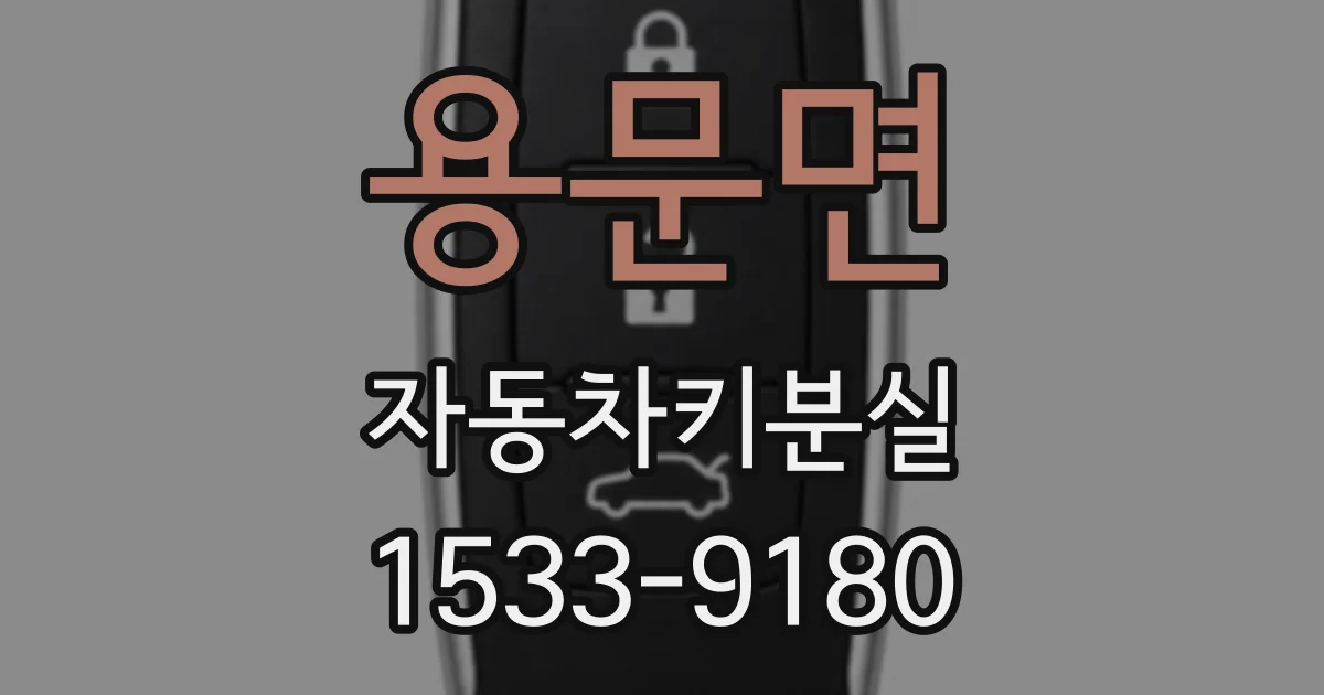 용문면 자동차키분실