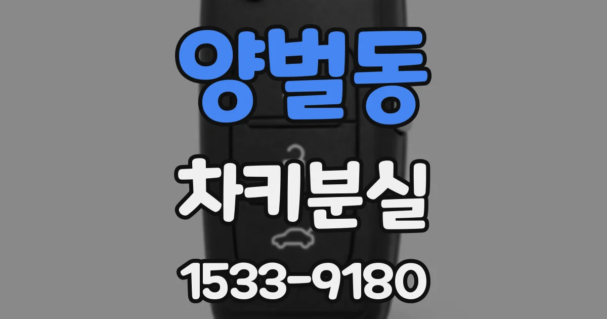 양벌동 차키분실