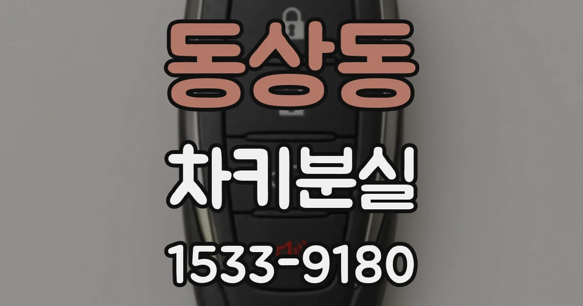 동상동 차키분실
