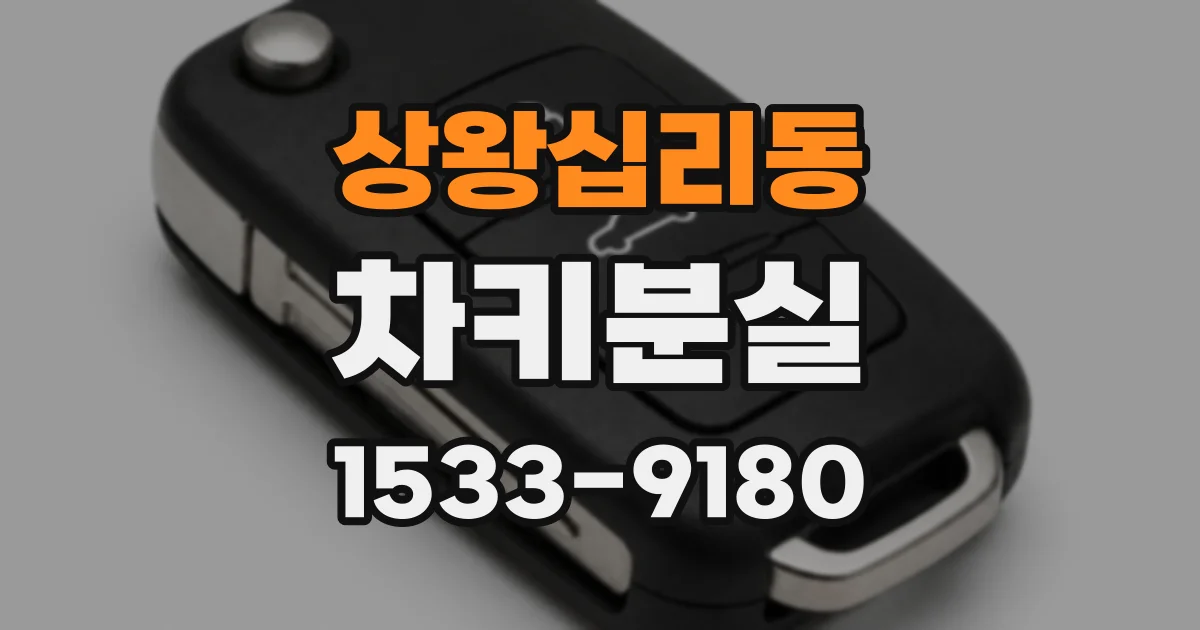 상왕십리동 차키분실