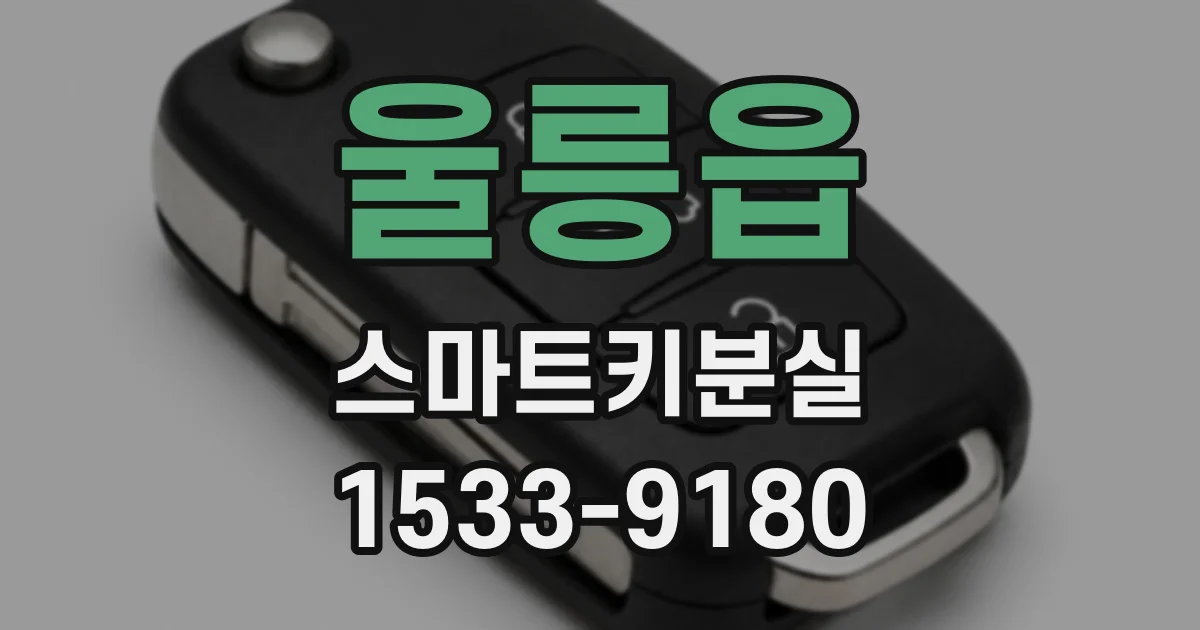 울릉읍 스마트키분실