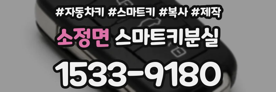 소정면 스마트키분실