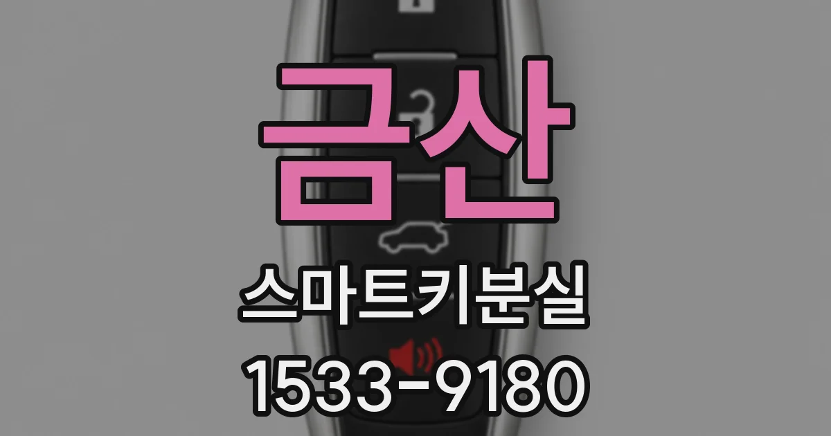 금산 스마트키분실