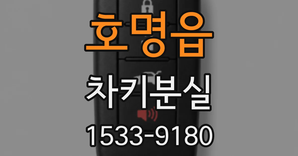 호명읍 차키분실