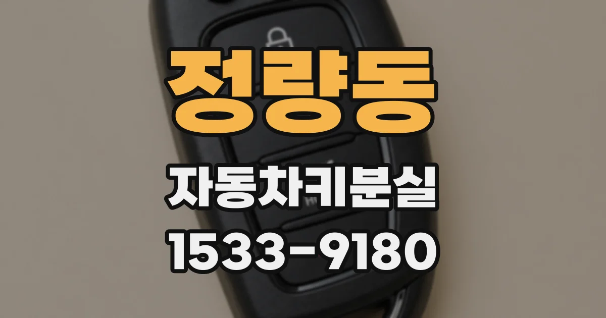 정량동 자동차키분실