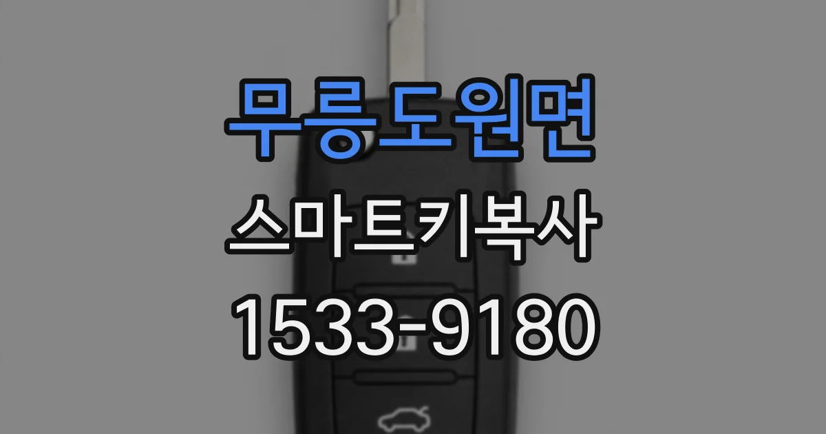 무릉도원면 스마트키복사