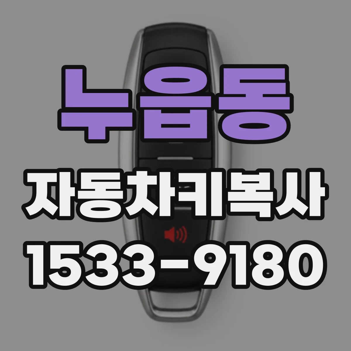 누읍동 자동차키복사