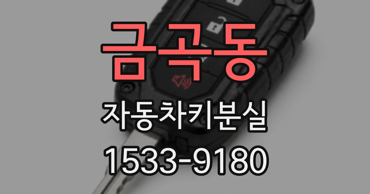 금곡동 자동차키분실