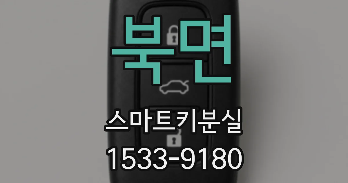 북면 스마트키분실