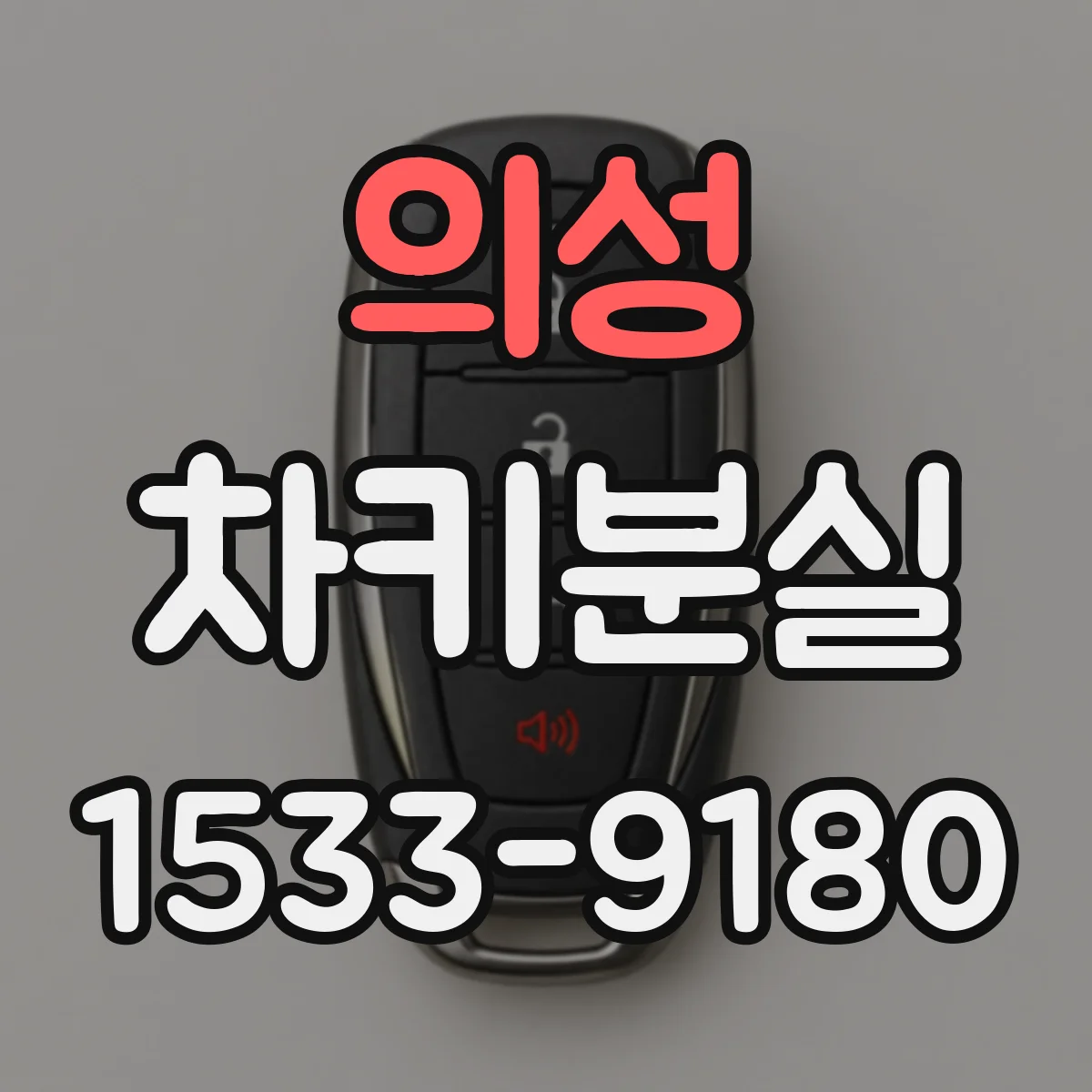 의성 차키분실