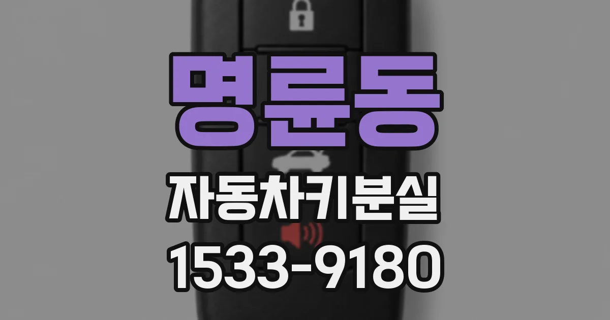 명륜동 자동차키분실