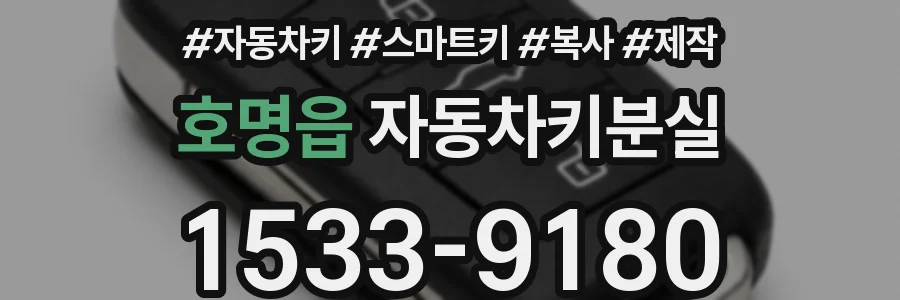 호명읍 자동차키분실