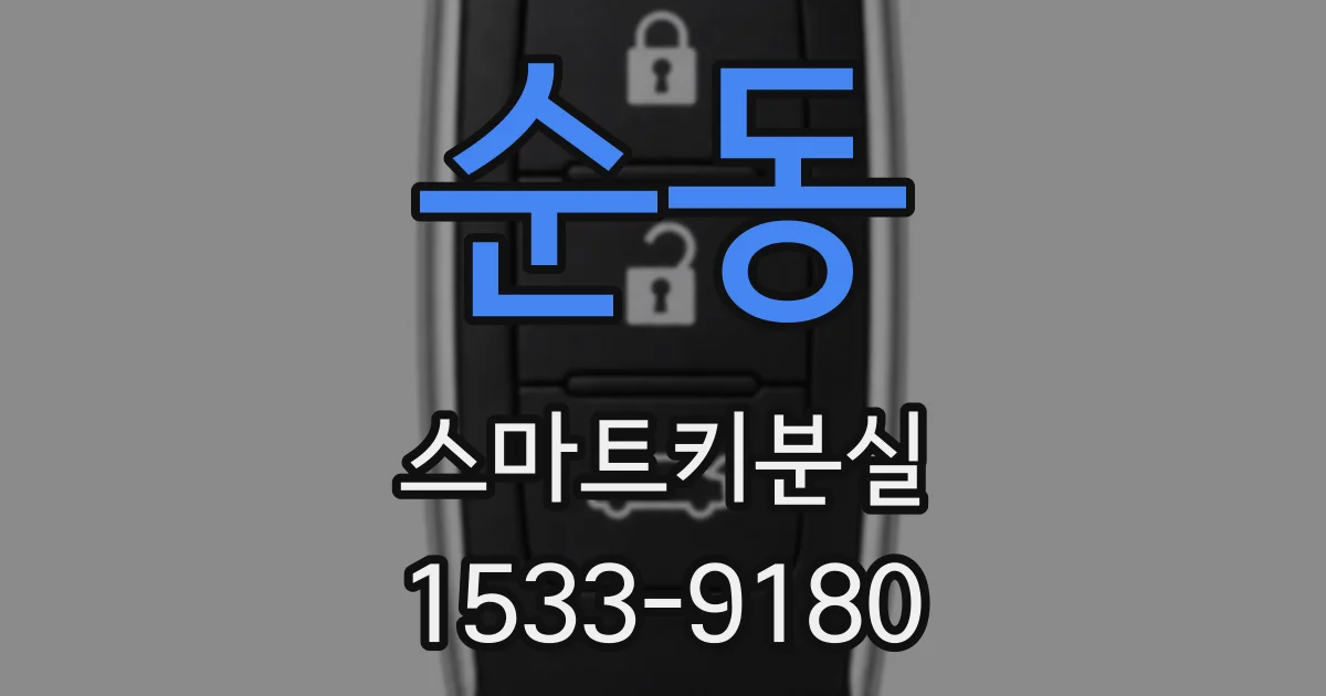 순동 스마트키분실