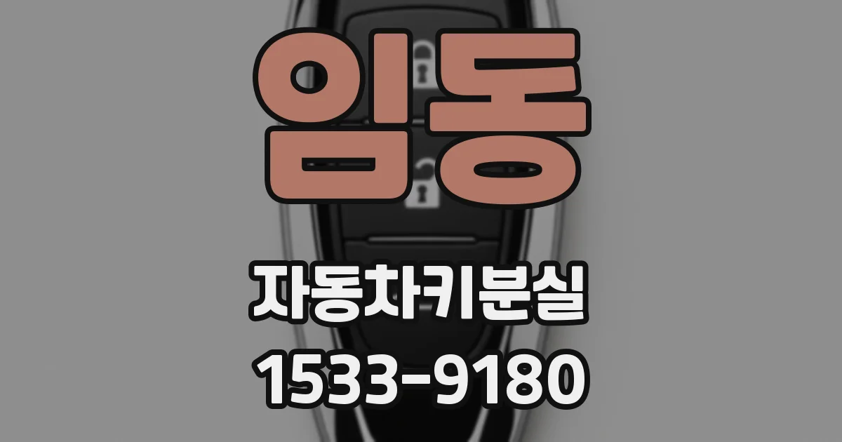 임동 자동차키분실