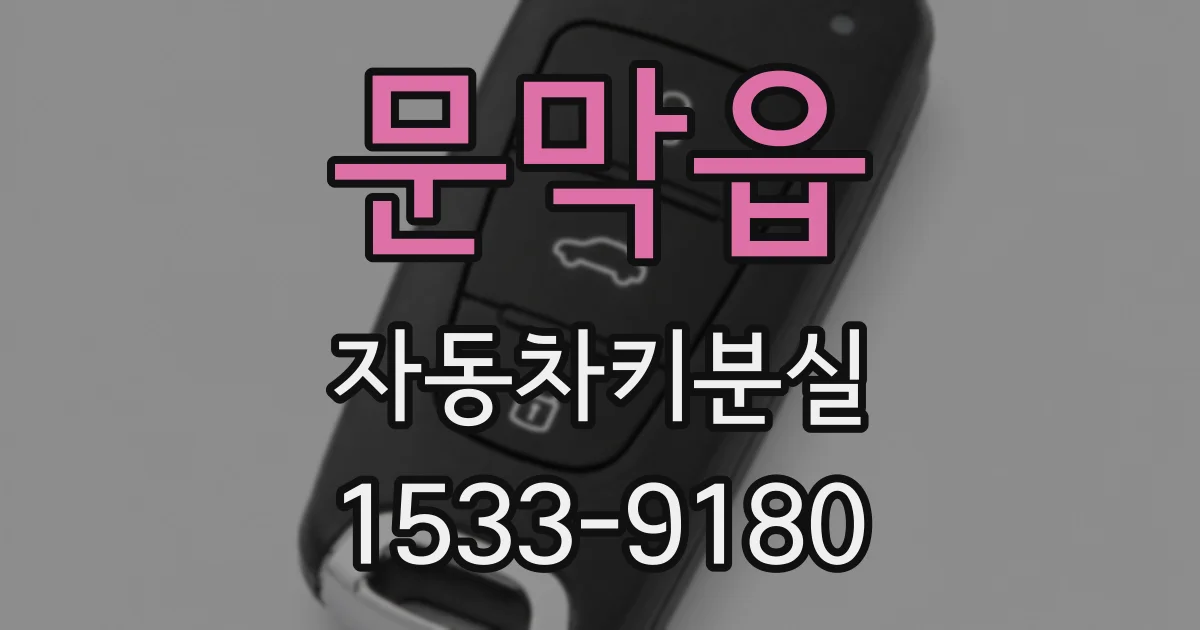 문막읍 자동차키분실