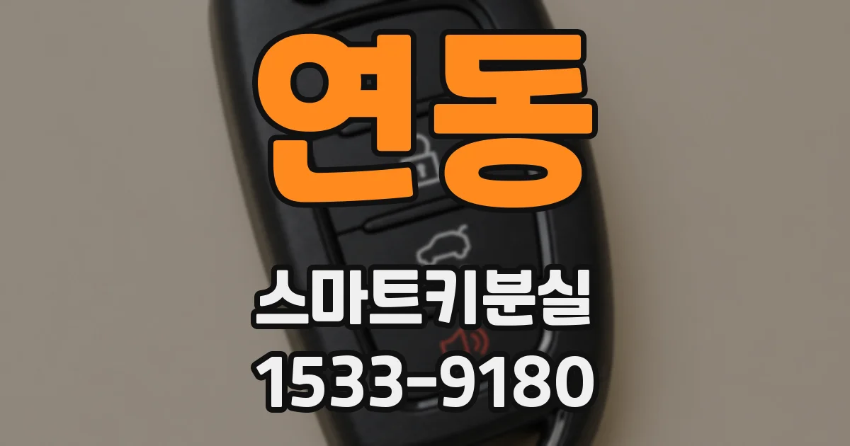 연동 스마트키분실