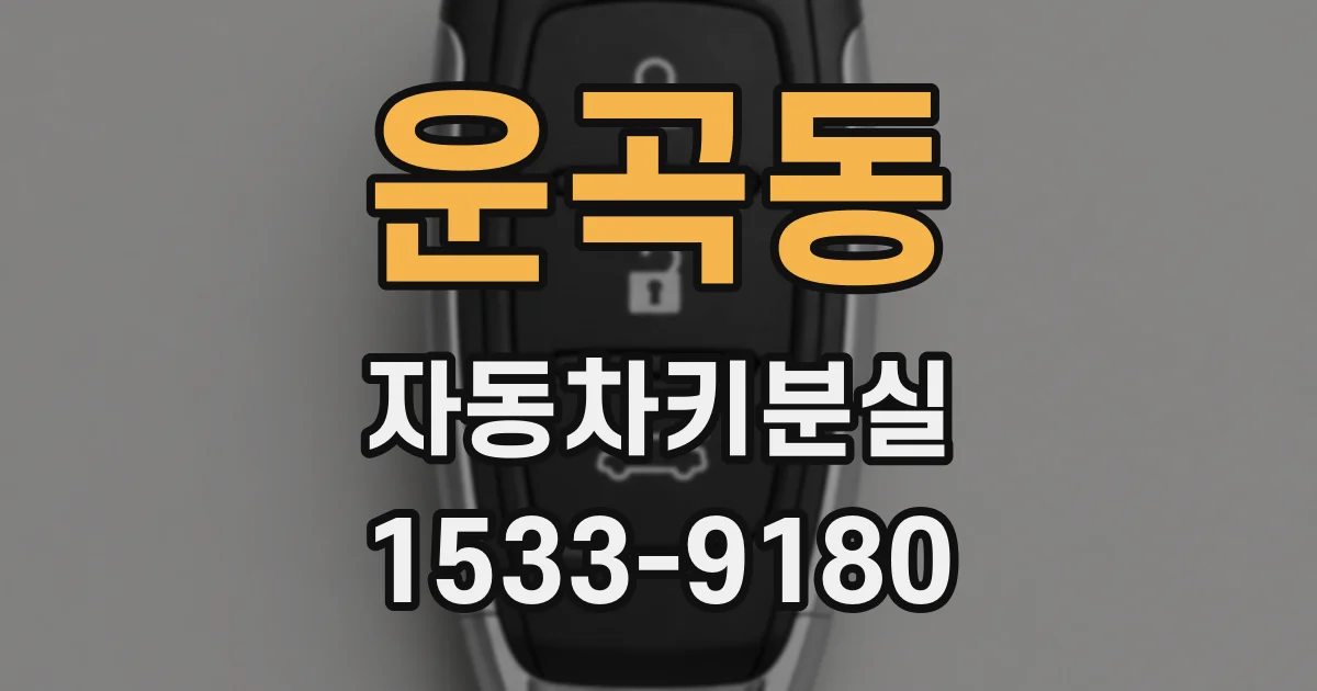 운곡동 자동차키분실