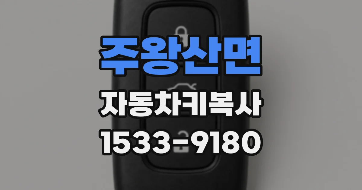 주왕산면 자동차키복사