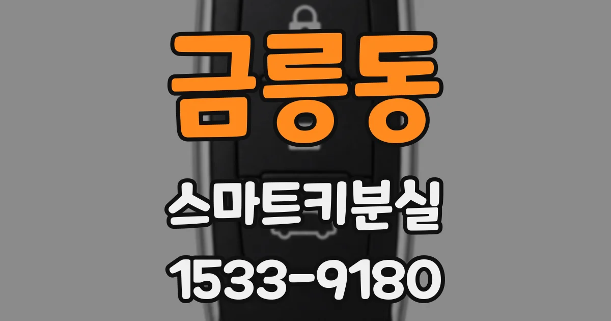 금릉동 스마트키분실