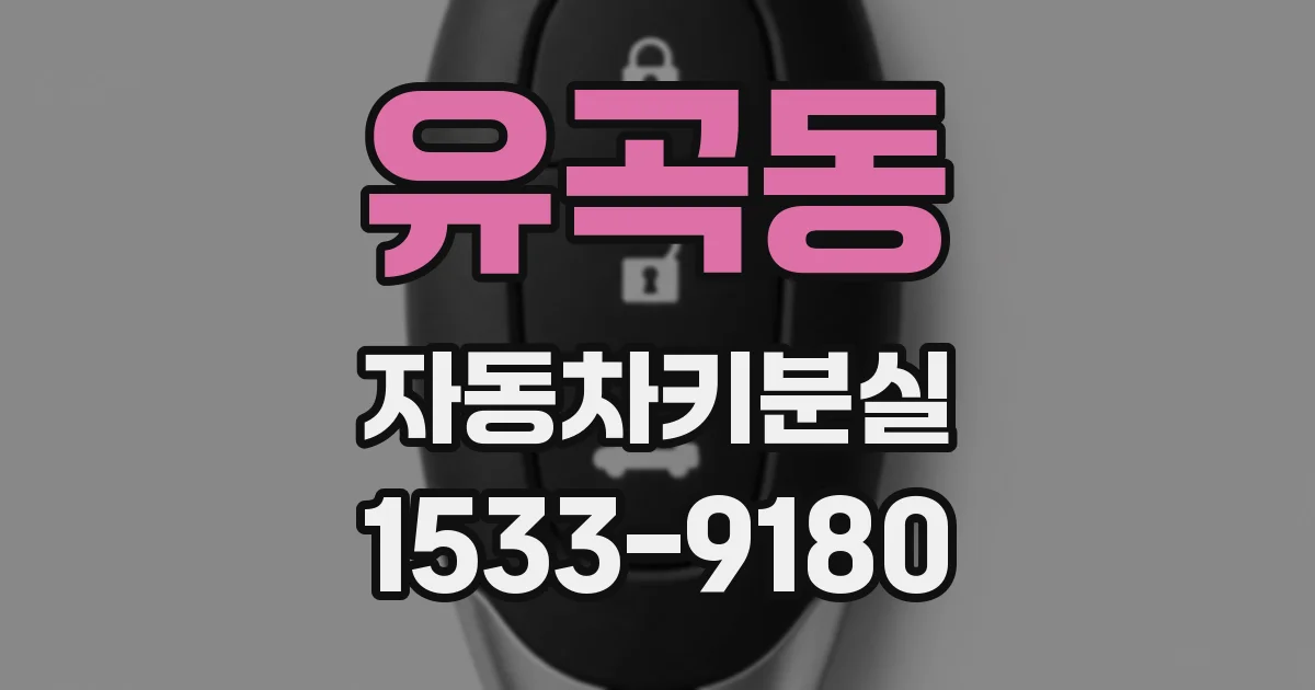 유곡동 자동차키분실
