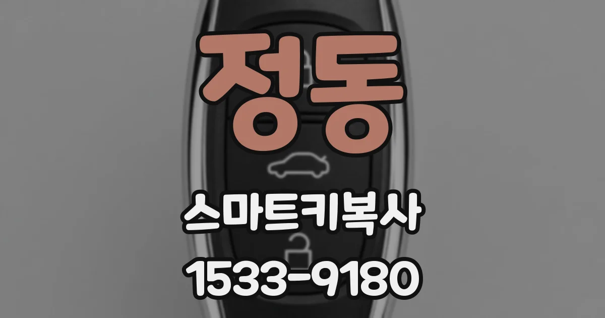 정동 스마트키복사