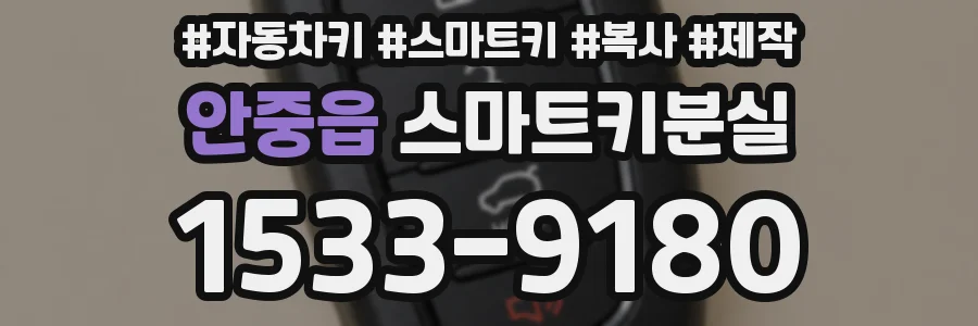 안중읍 스마트키분실