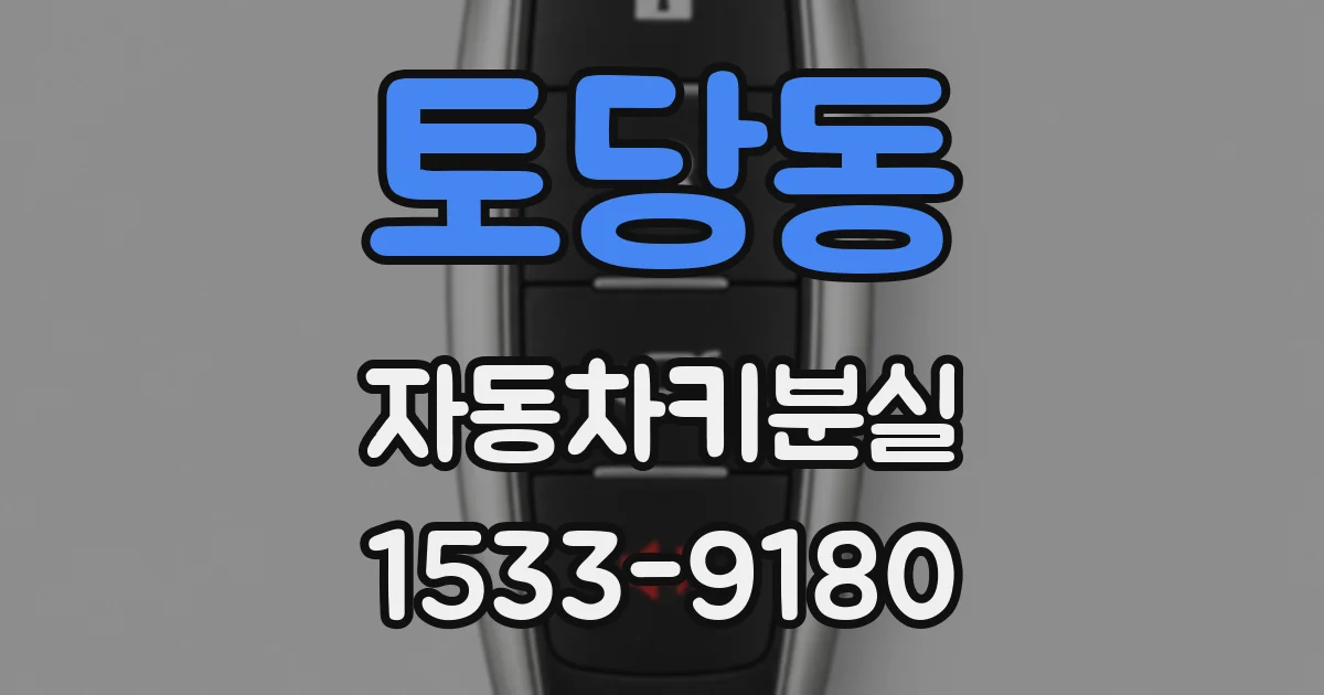 토당동 자동차키분실