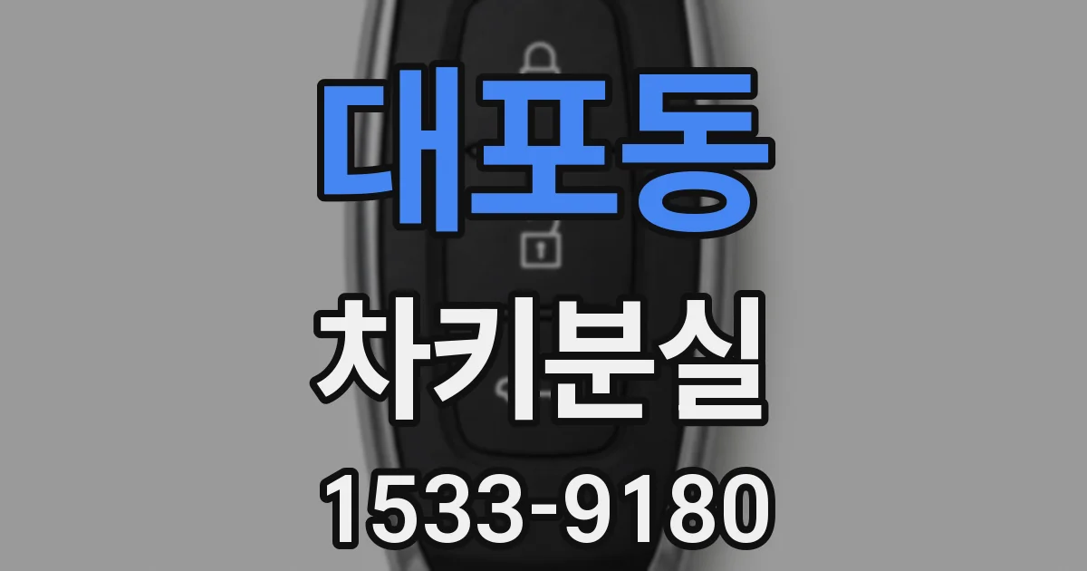 대포동 차키분실