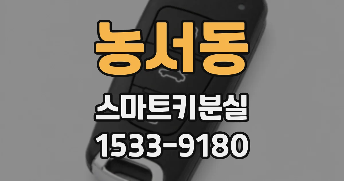 농서동 스마트키분실