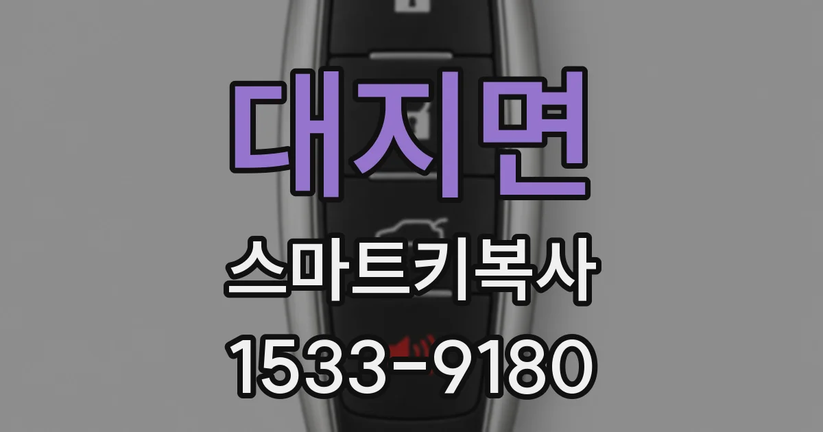 대지면 스마트키복사