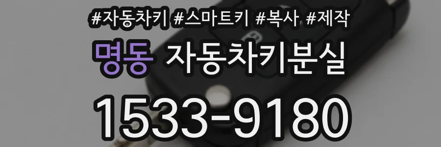 명동 자동차키분실
