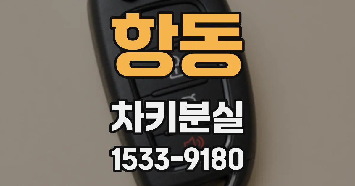 항동 차키분실