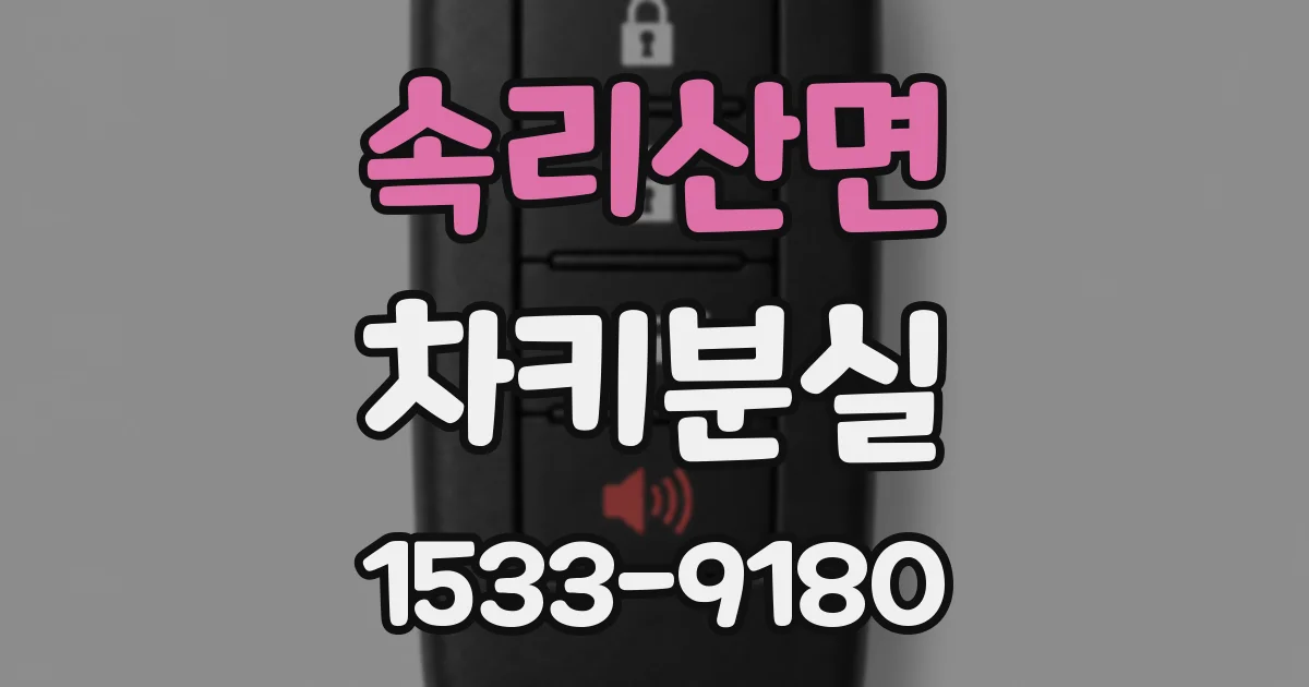 속리산면 차키분실
