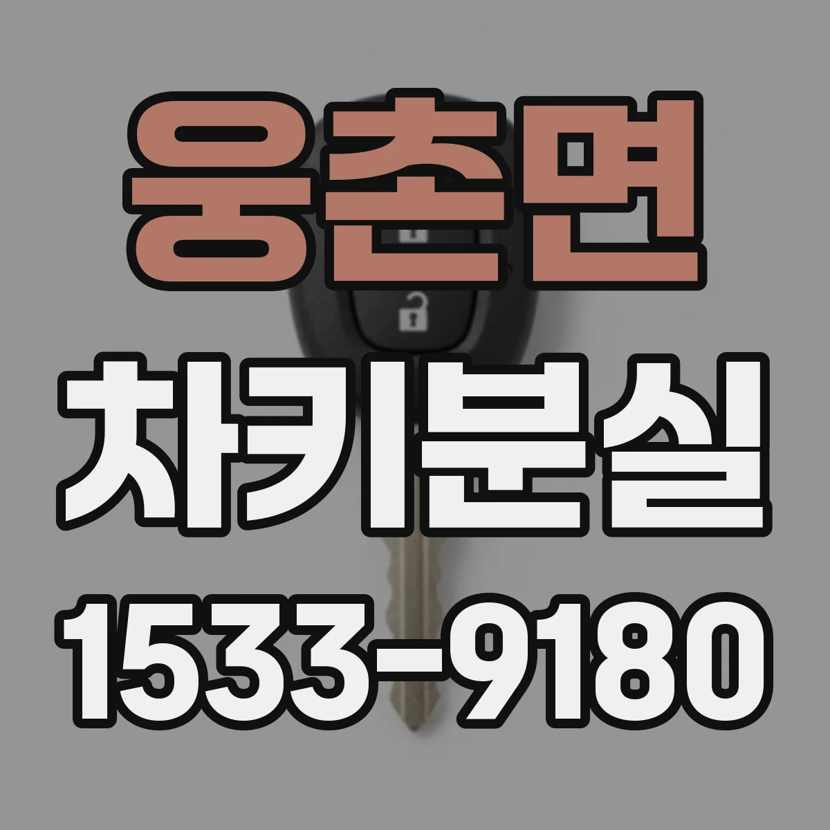 웅촌면 차키분실