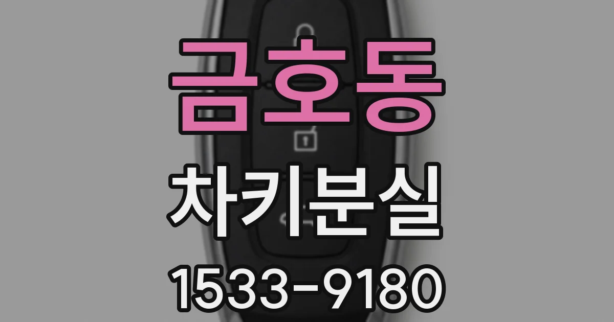 금호동 차키분실